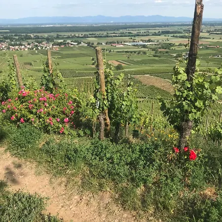 La Mouche Gueberschwihr