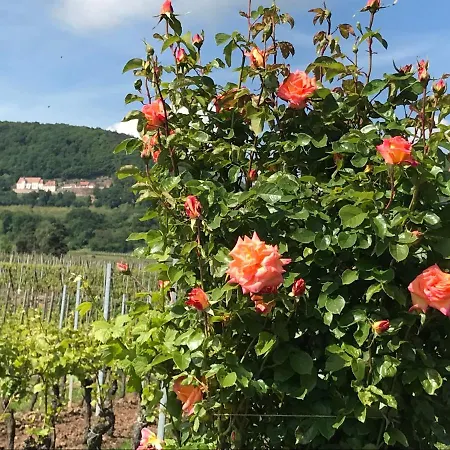 La Mouche Apartman Gueberschwihr